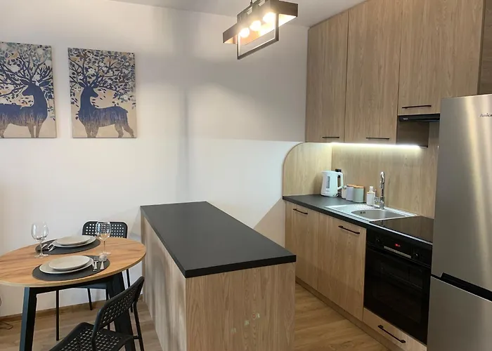 Apartament Powstancow Warszawy 4E #Free Parking